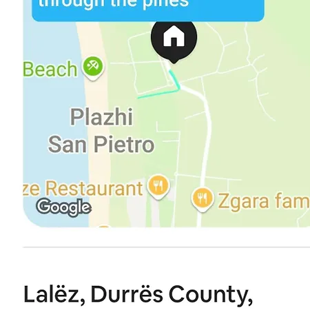 Cozy Lalez Shetaj