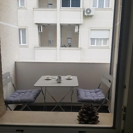 Cozy Lalez Shetaj
