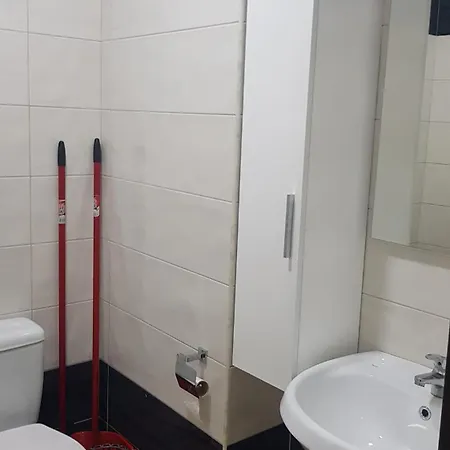 Apartament Cozy Lalez Shetaj