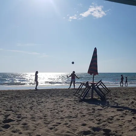 Apartament Cozy Lalez Shetaj