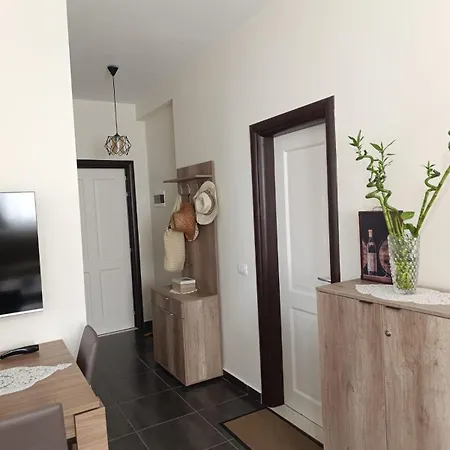 Cozy Lalez Apartament